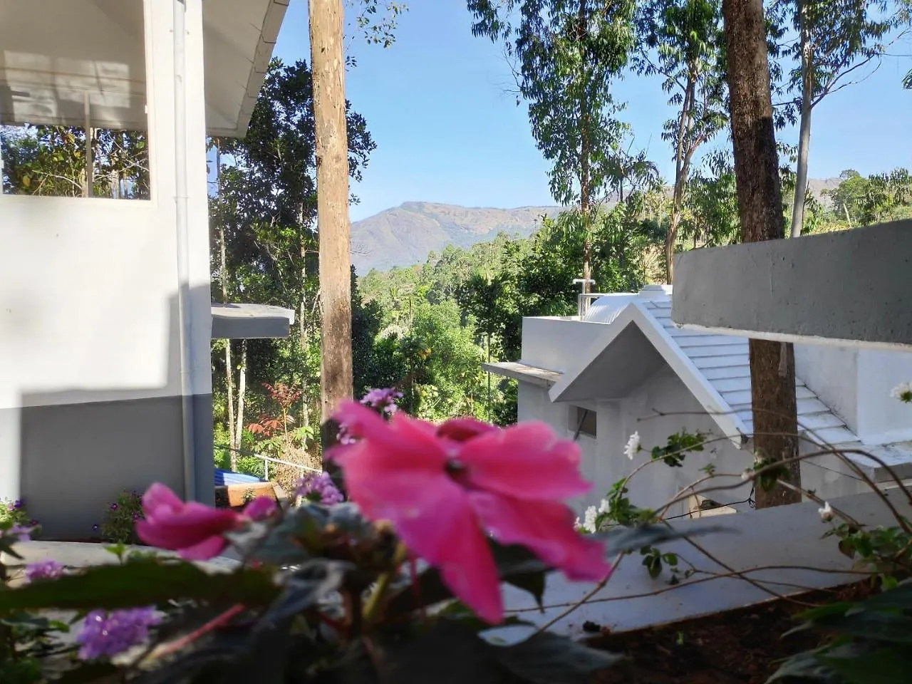 Eucalyptus Resort Munnar 4*,