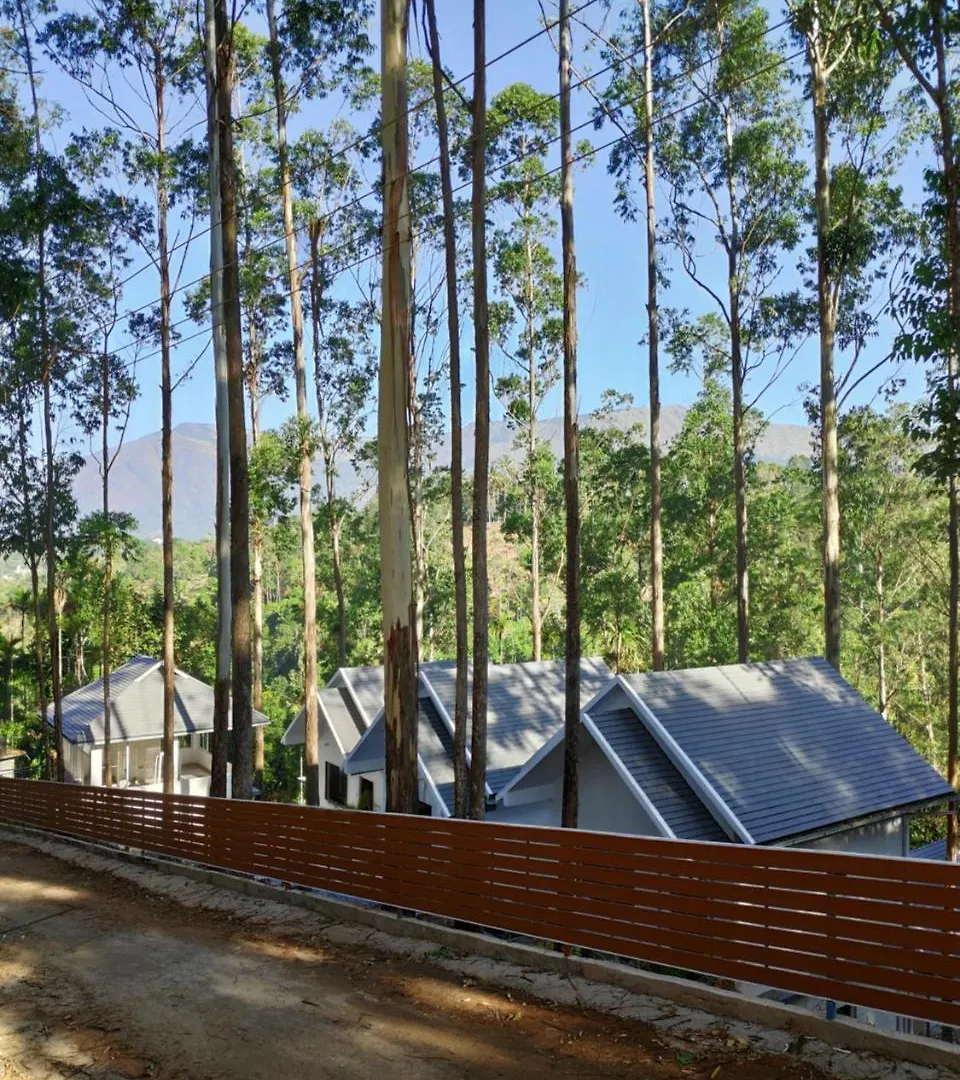 Eucalyptus Resort Munnar India